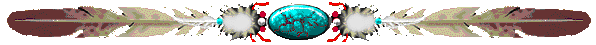 Federnschmuck