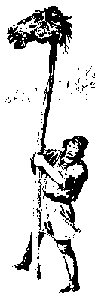 Nidstang
